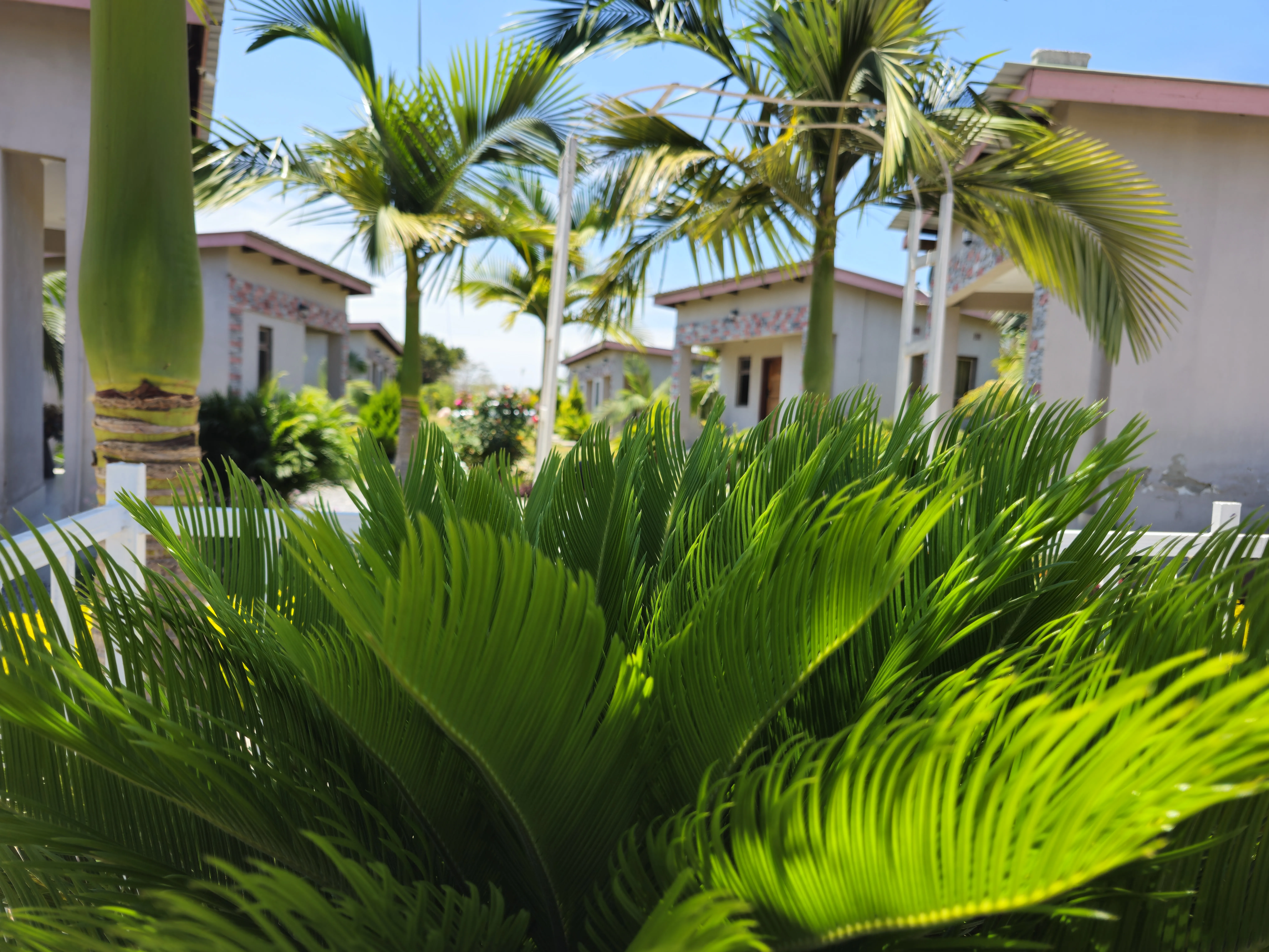 Ku Keembe Gardens