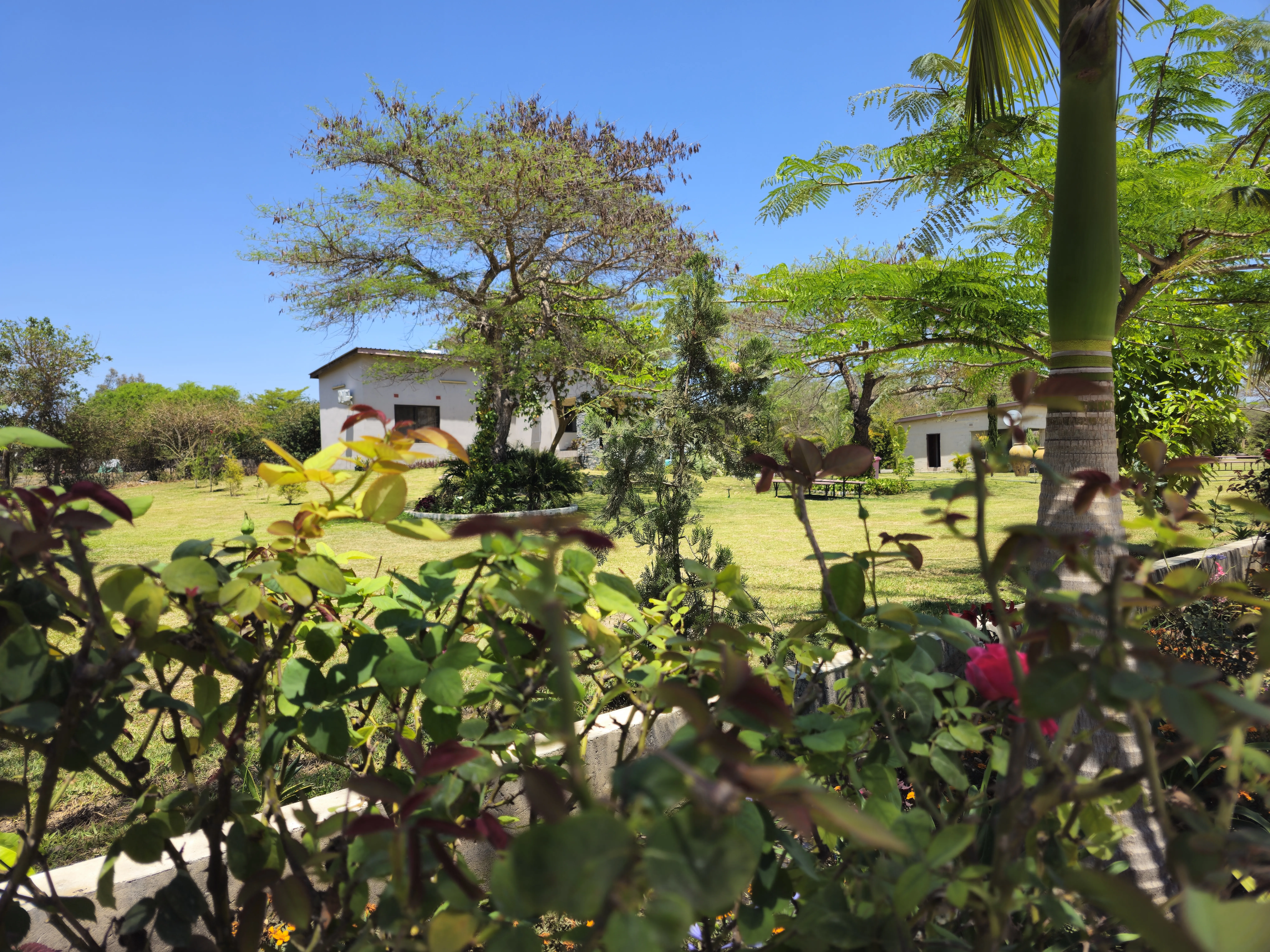 Ku Keembe Gardens