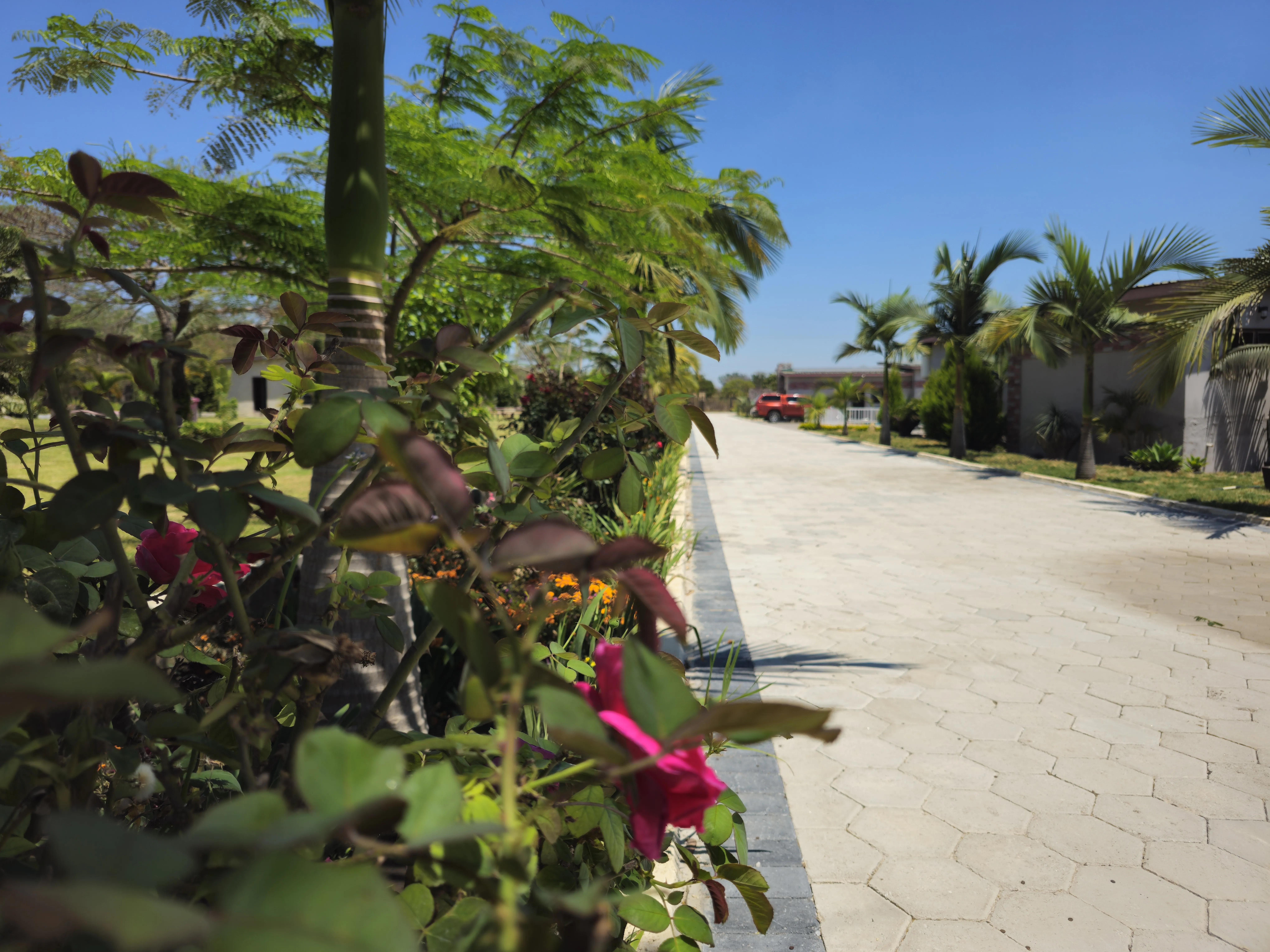 Garden paths between the chalets